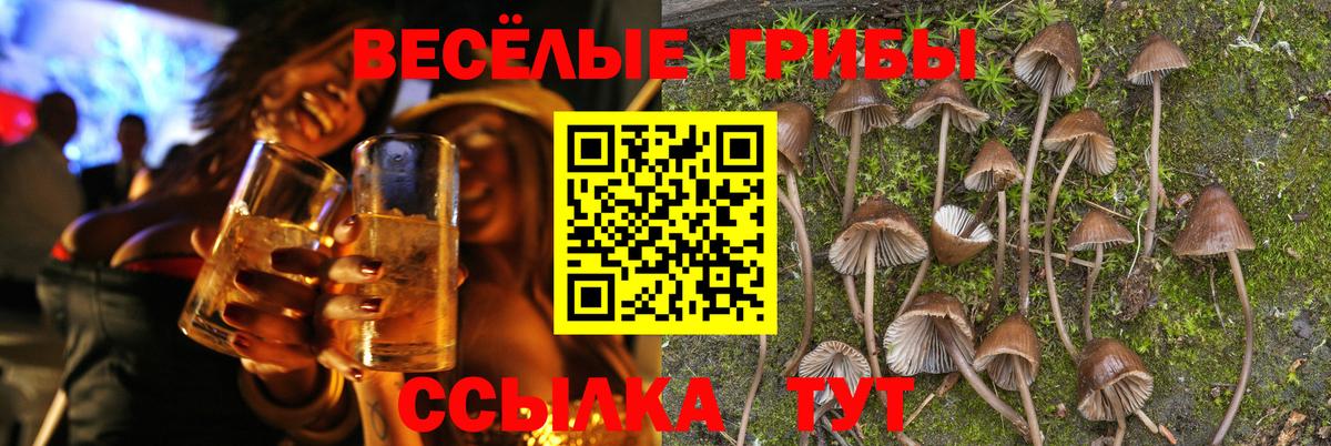 Галлюциногенные грибы Cubensis  Вход с VPN  Кинель 